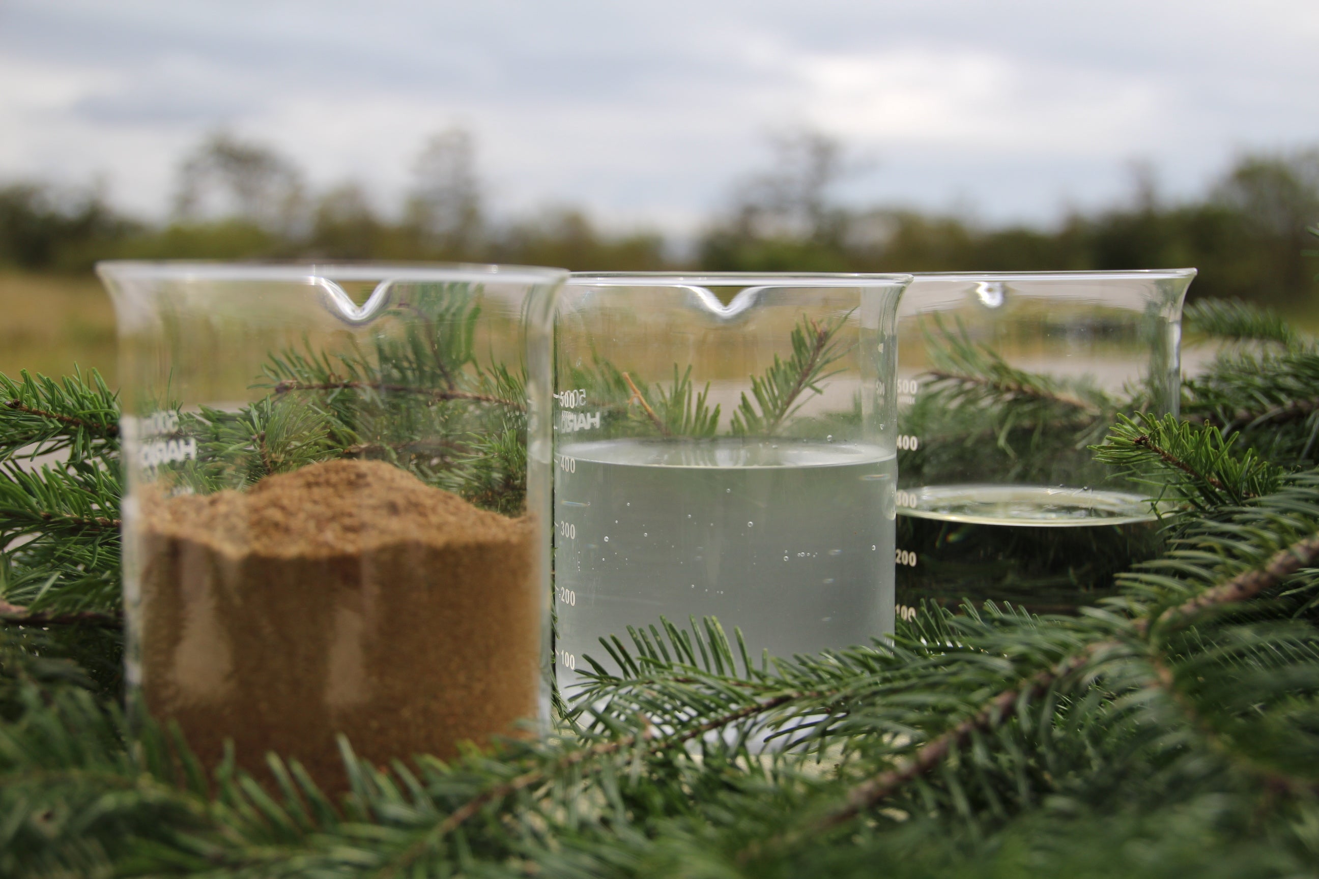 北海道産トドマツから抽出した 「針葉粉体」「樹木精水」「樹木精油」