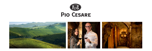イタリア ピエモンテ州の⽼舗ワイナリー「ピオ・チェーザレ（Pio Cesare）」取り扱い開始のお知らせ | WINE TO  STYLE株式会社のプレスリリース