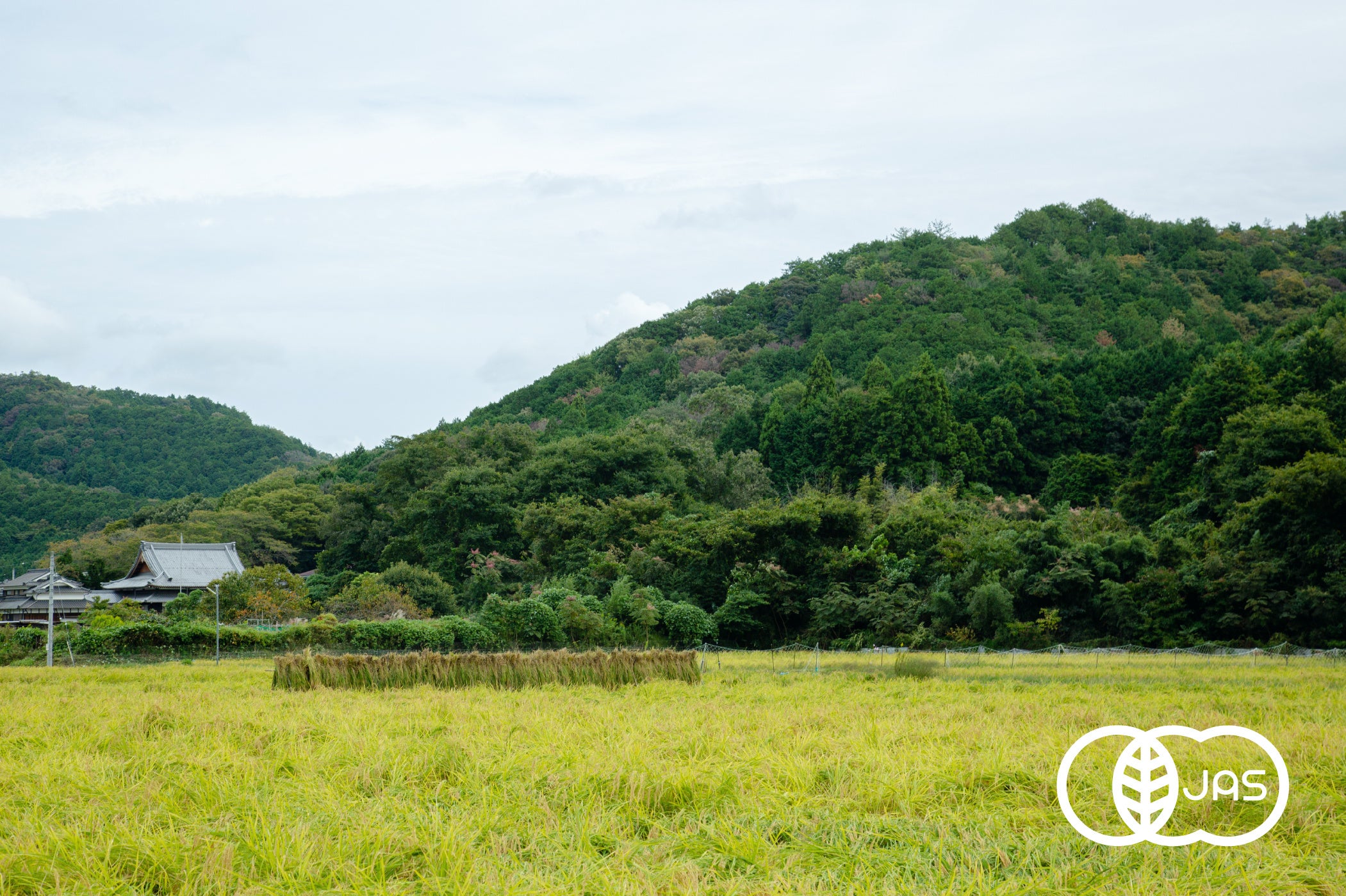原材料で使用するお米はすべて有機JAS認証取得済