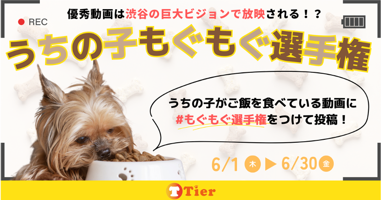 渋谷愛ビジョンで放映！Tierアプリの「もぐもぐ選手権」投稿キャンペーン第2弾開催中！