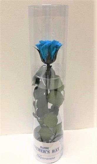 (C) モノ・インターナショナル㈱