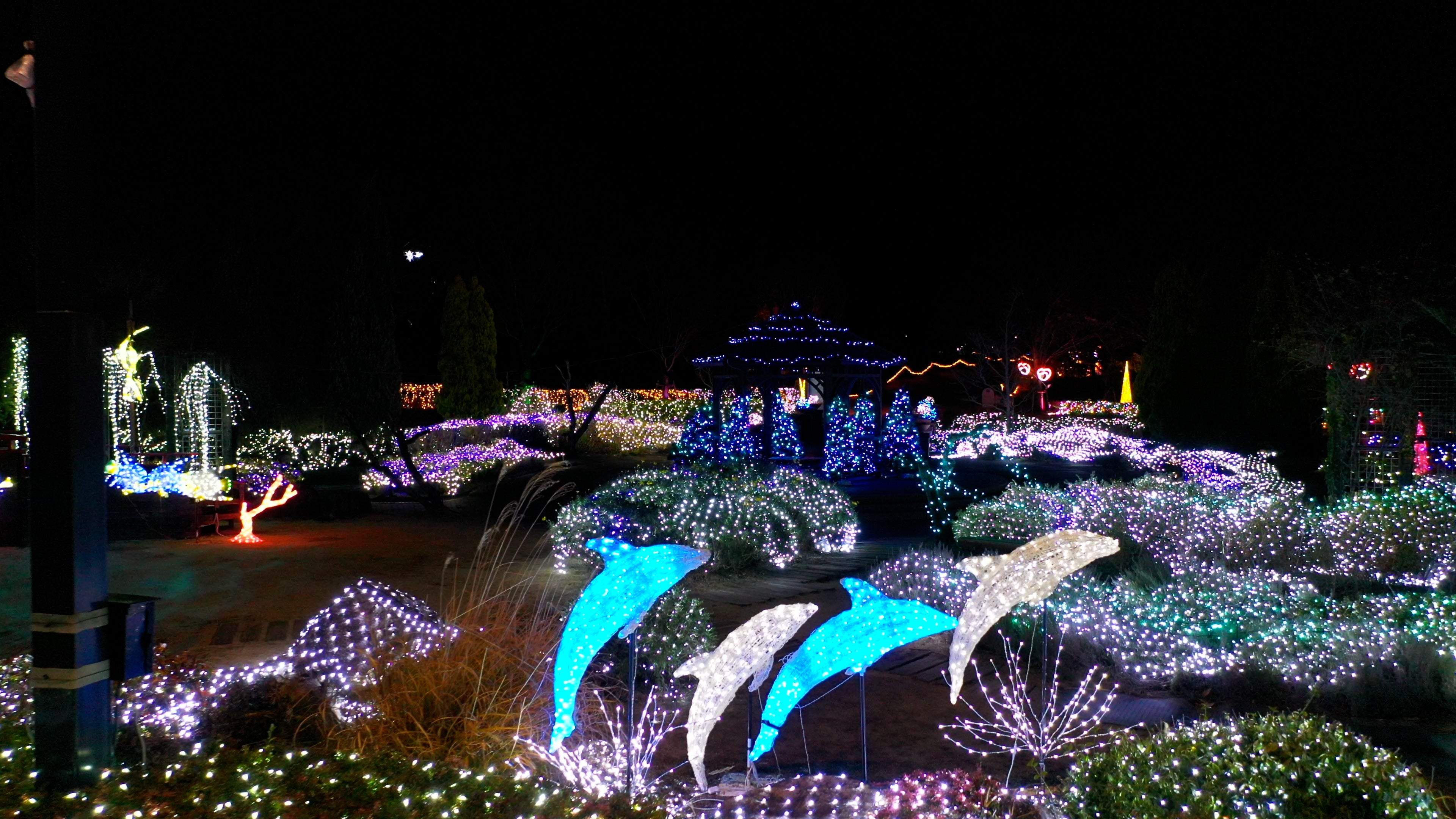 イングリッシュガーデン