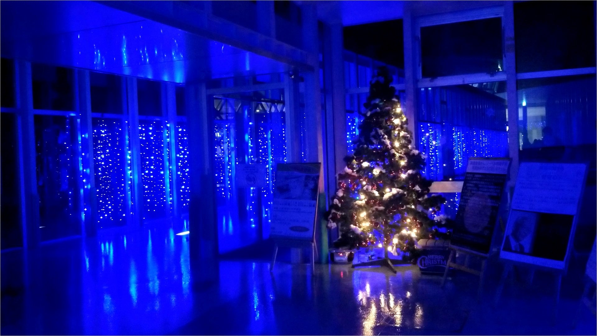 科学館