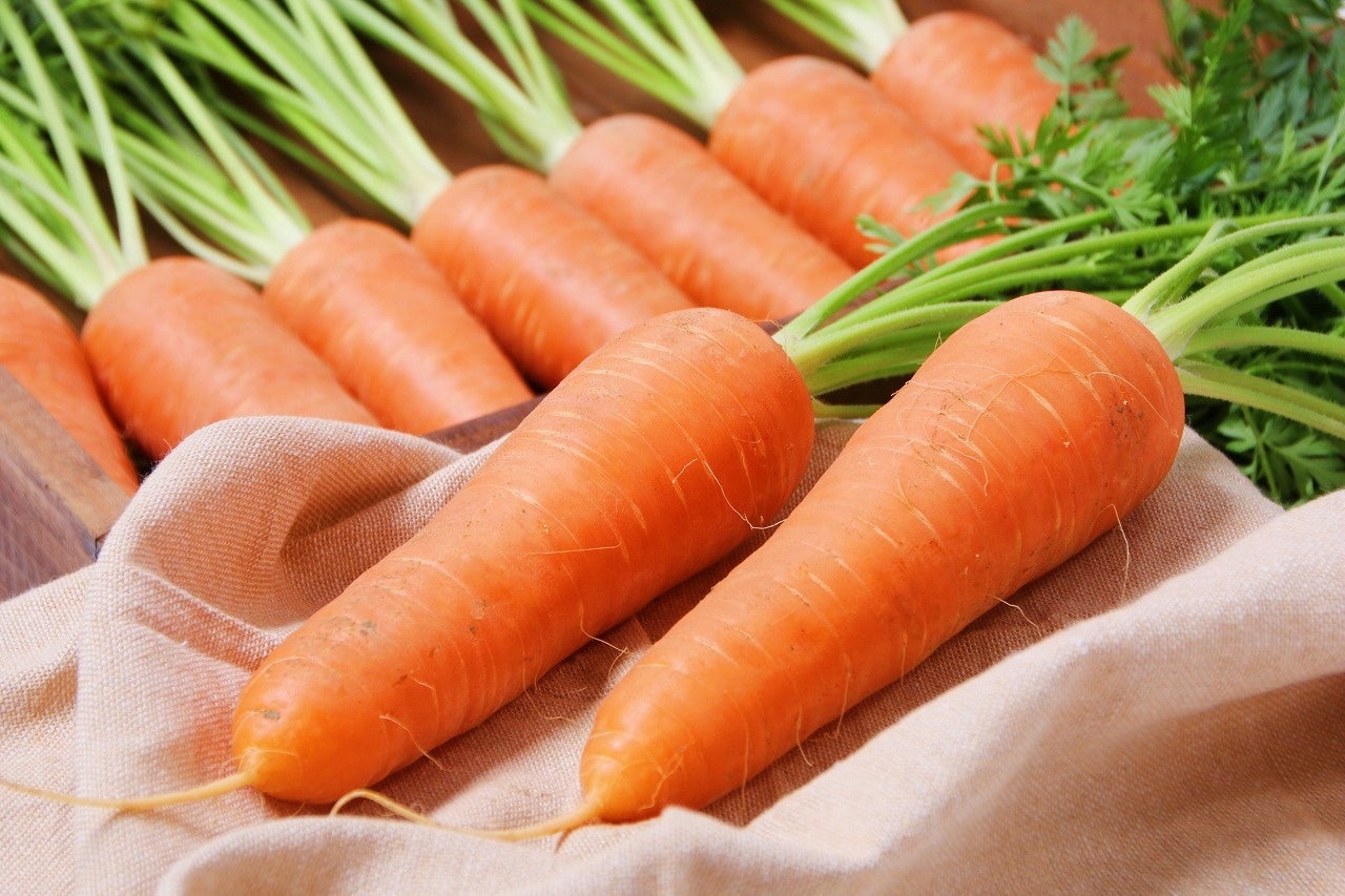 今が旬！寒い冬をハウスでゆっくり育ち甘くて柔らかい「春にんじん」