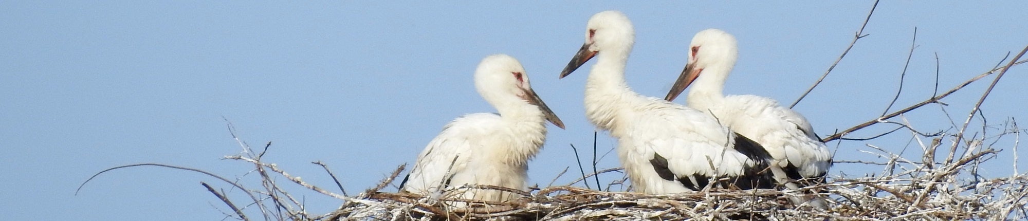 第8回準特選作品