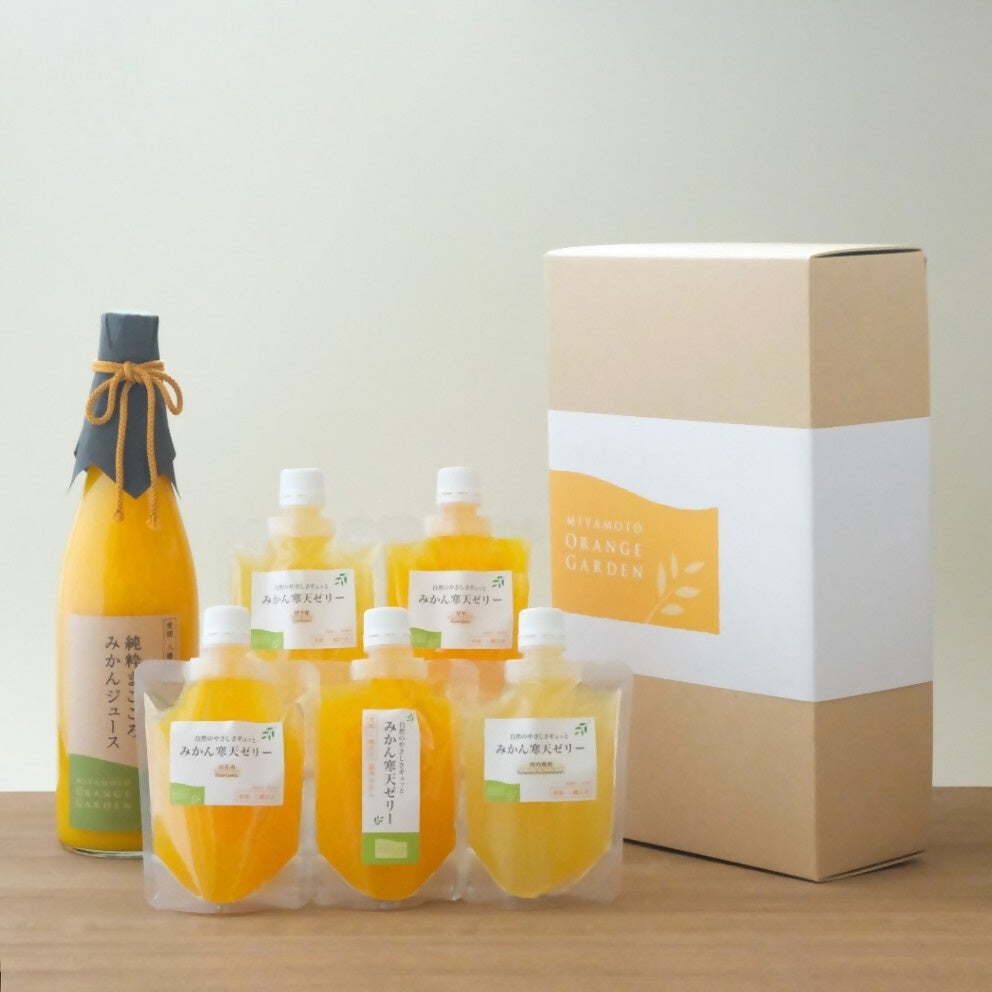 【愛媛県】調味料「塩みかん」とゼリーなどの豪華詰め合わせセット