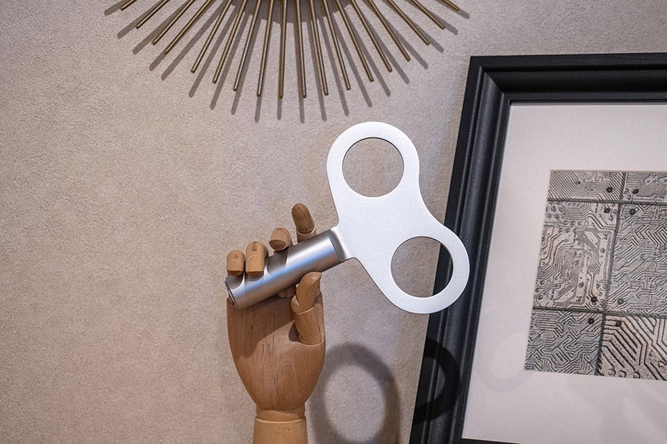 パッと見ではただのぜんまいですが・・・