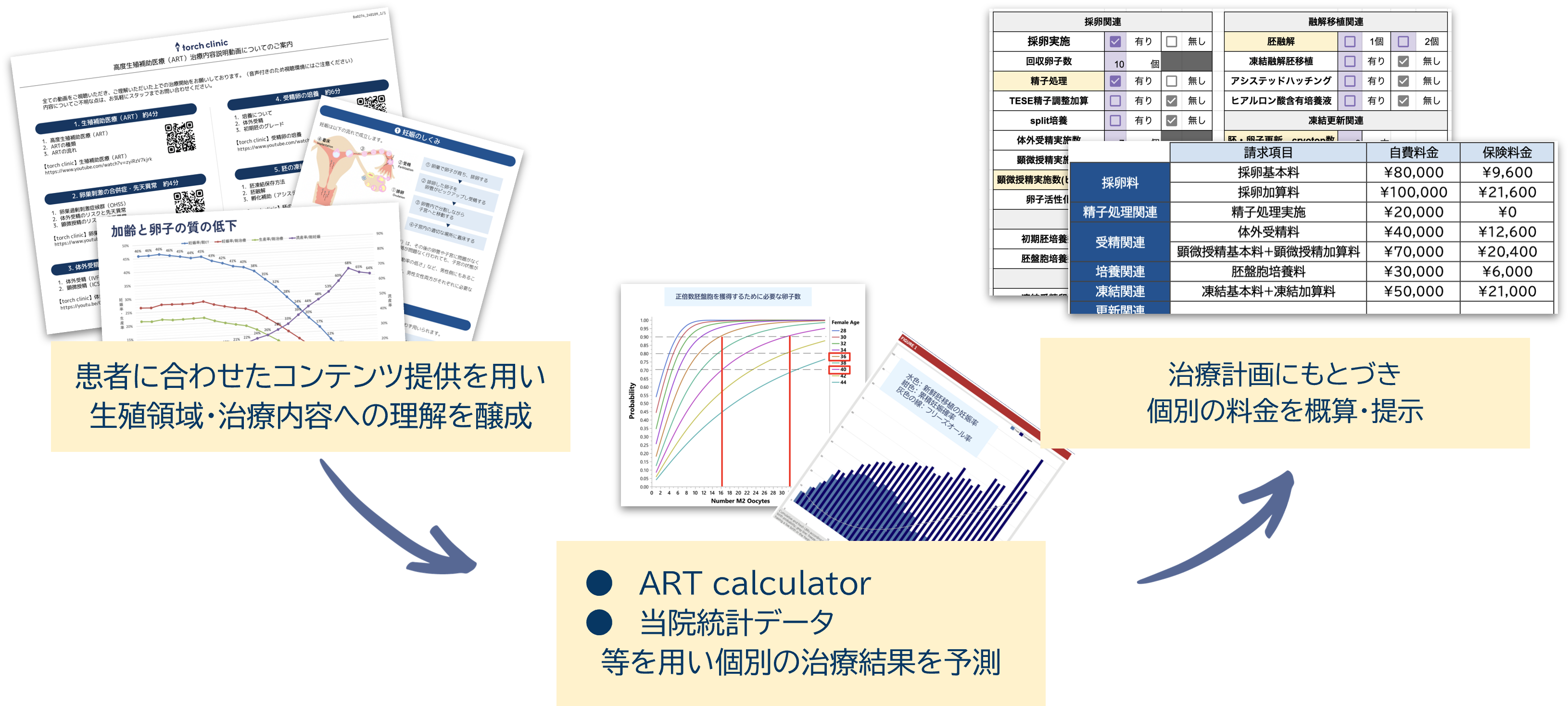 新品 エキスパートによる生殖領域の外科的手法 ‐生殖内視鏡と不妊治療