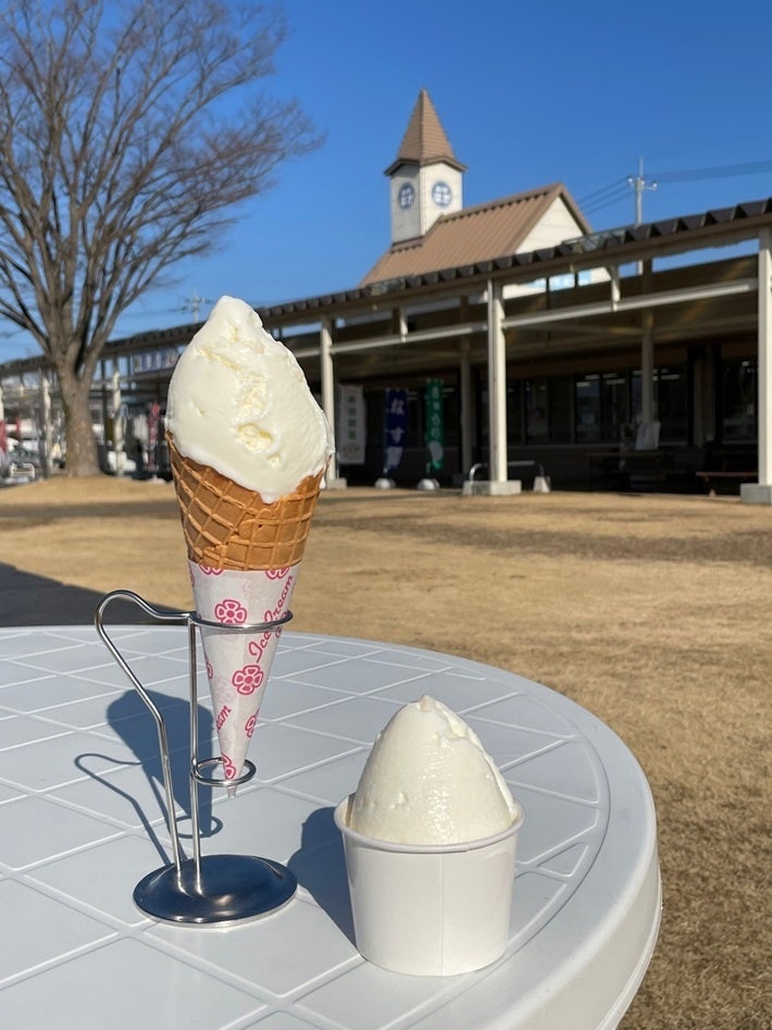 優待の「はがジェラート」