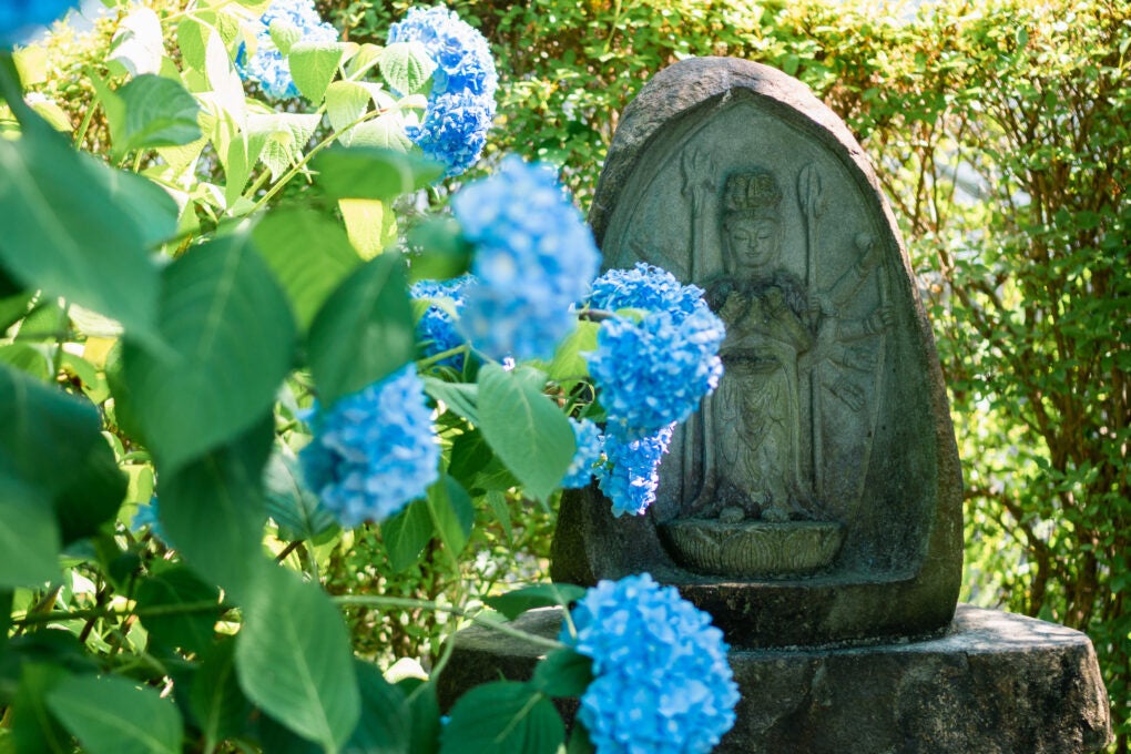 自音寺　※イメージ