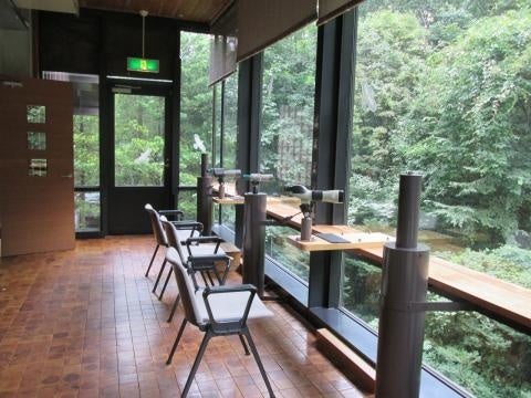 豊かな自然に囲まれた「ことりはうす」