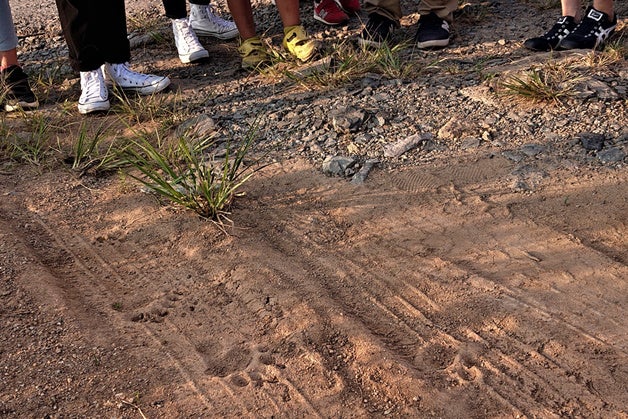 秋吉台サファリランド　クマの足あと　見えるかな～？