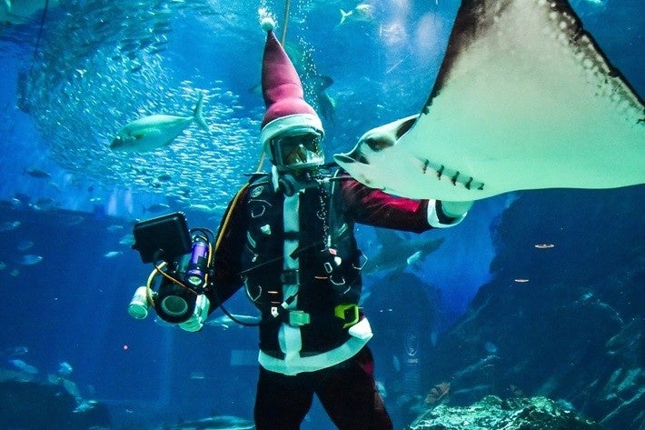 サンタダイバーショー