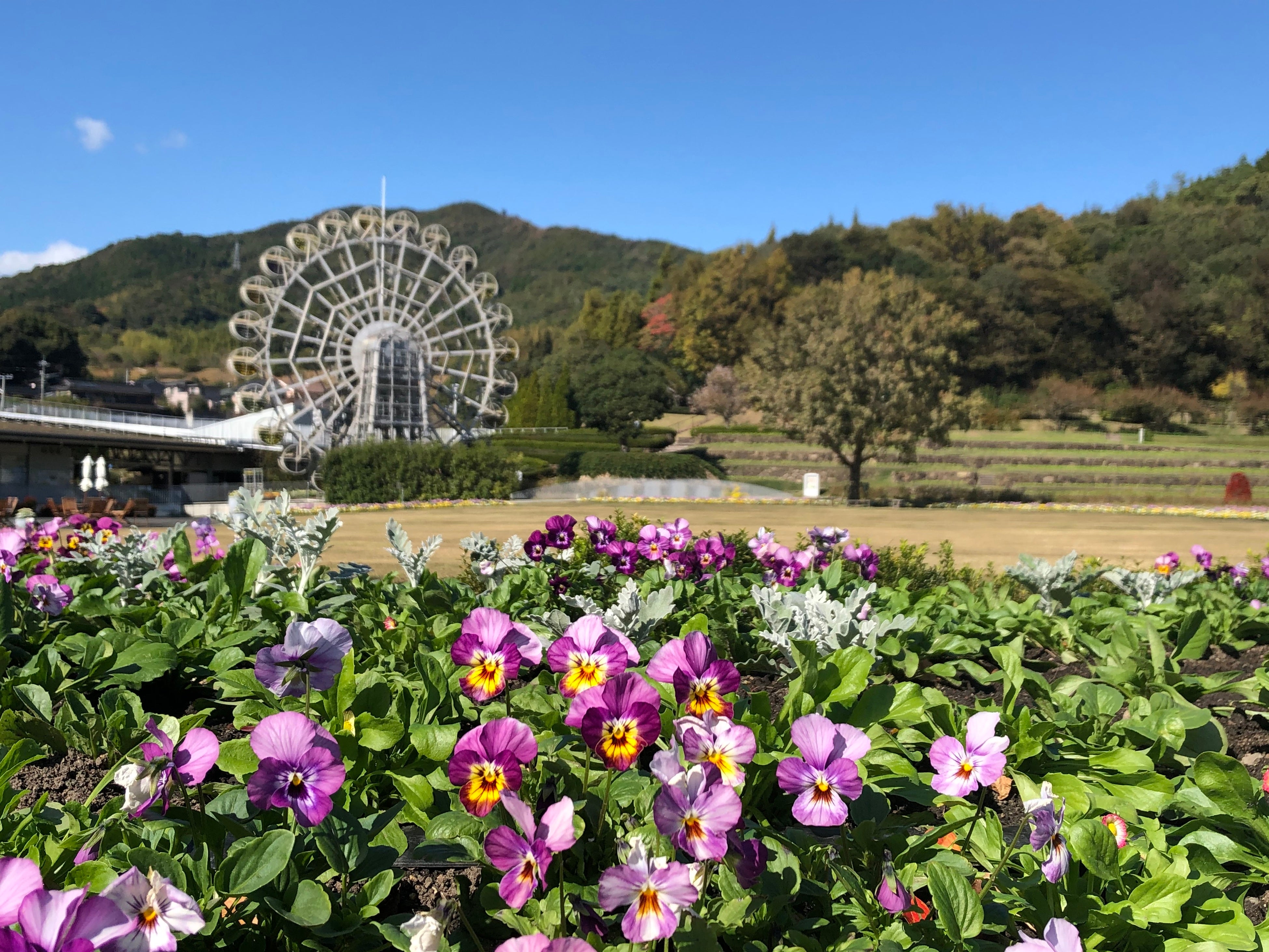 やまぐちフラワーランド　花車（はなくるりん）