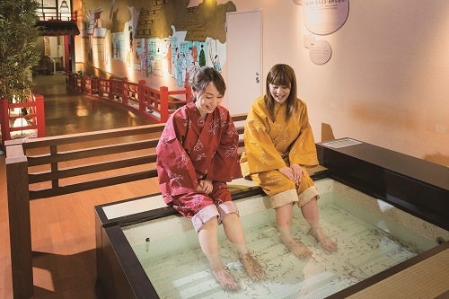 銀泉ドクターフィッシュ（イメージ）