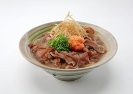 旨肉おろしうどん