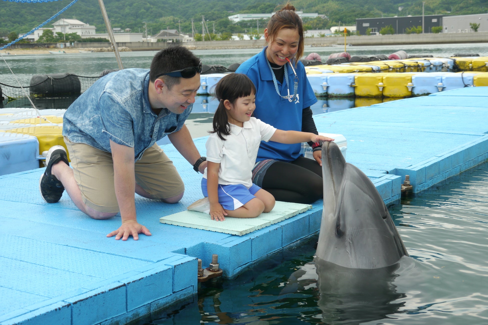 イルカとのふれあい