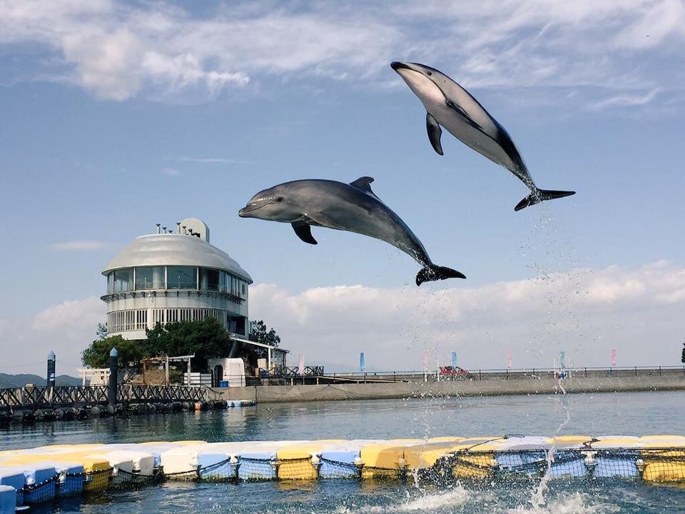 日本ドルフィンセンター