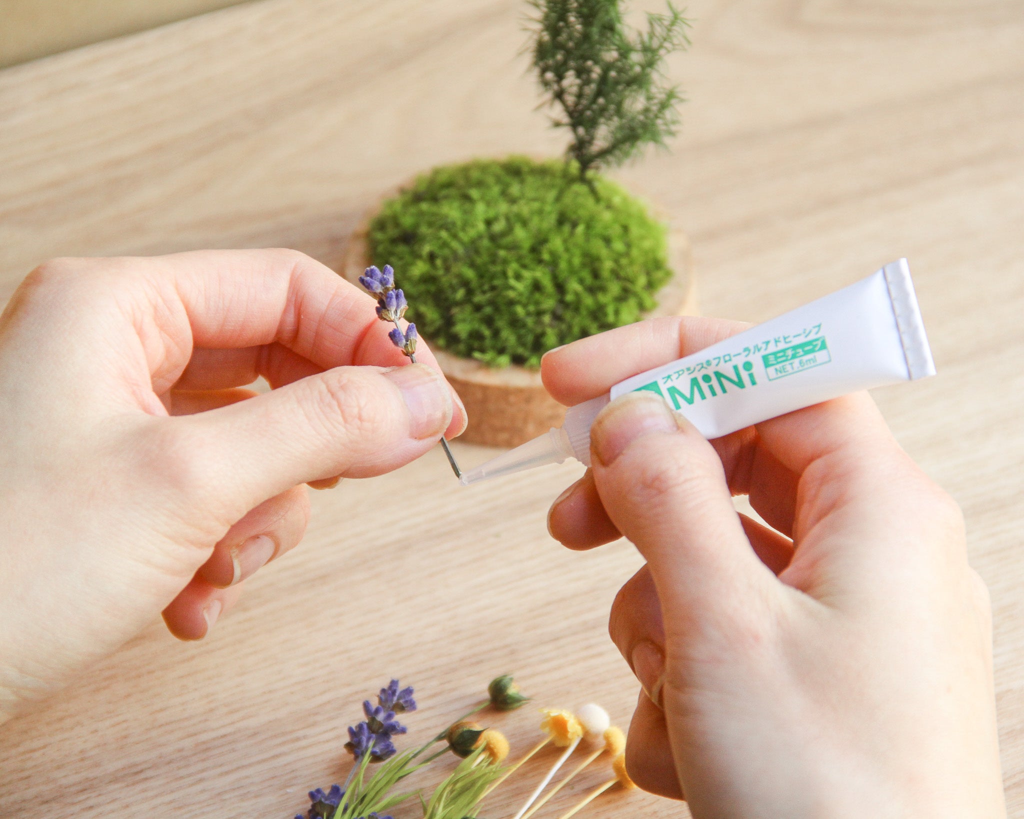 制作過程　イメージ