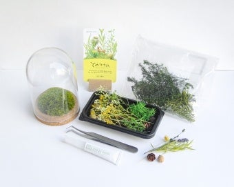 キット　イメージ（本イベントでは、容器は丸ドーム型・お花の素材はクリスマス仕様になります）