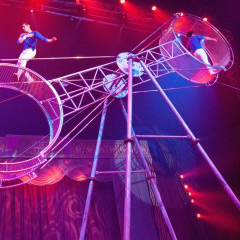 JAF神奈川:ポップサーカス横須賀公演でJAFデー開催決定!4年ぶりのイベント、特別価格で参加可能 JAF神奈川:ポップサーカス横須賀公演でJAFデー開催決定!4年ぶりのイベント、特別価格で参加可能