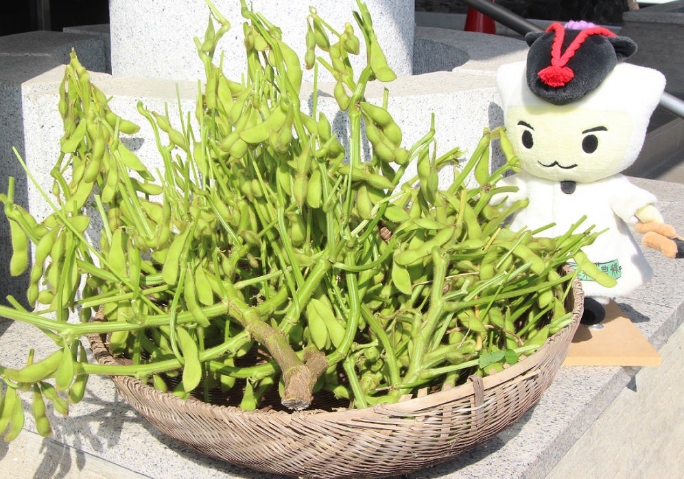 黒豆と河合町イメージキャラクター「すな丸」 イメージ