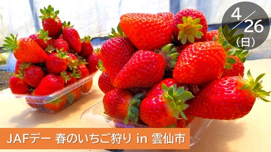 【JAF長崎】“恋みのり”いちご狩りイベント開催!~摘みたてのいちごが1時間食べ放題 & 1パックのお土産付き!~ in 雲仙市 【JAF長崎】“恋みのり”いちご狩りイベント開催!~摘みたてのいちごが1時間食べ放題 & 1パックのお土産付き!~ in 雲仙市
