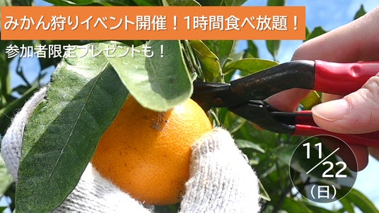 【JAF長崎】旬の「原口早生みかん」が1時間食べ放題!みかん狩り体験イベントを初開催!約3kgのお土産と参加者限定プレゼントも! 【JAF長崎】旬の「原口早生みかん」が1時間食べ放題!みかん狩り体験イベントを初開催!約3kgのお土産と参加者限定プレゼントも!