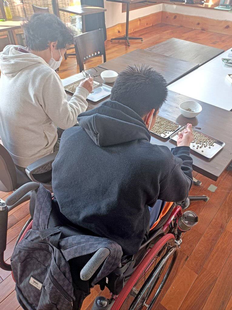 コーヒー豆の選別を行う車いすの利用者