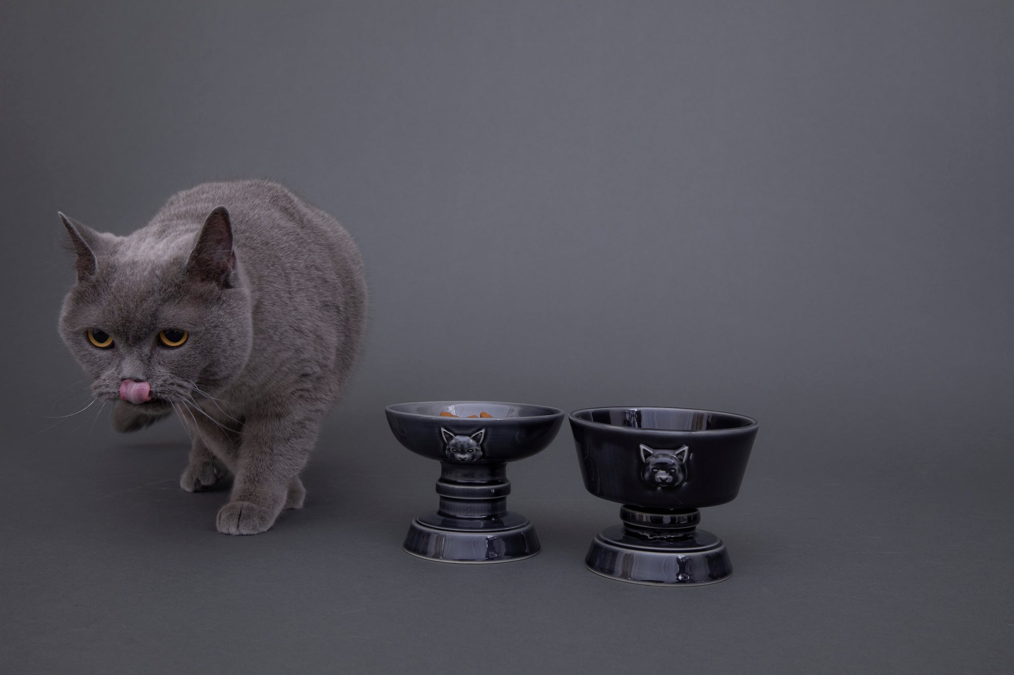 cat designから、猫の使いやすさとインテリアに溶け込む