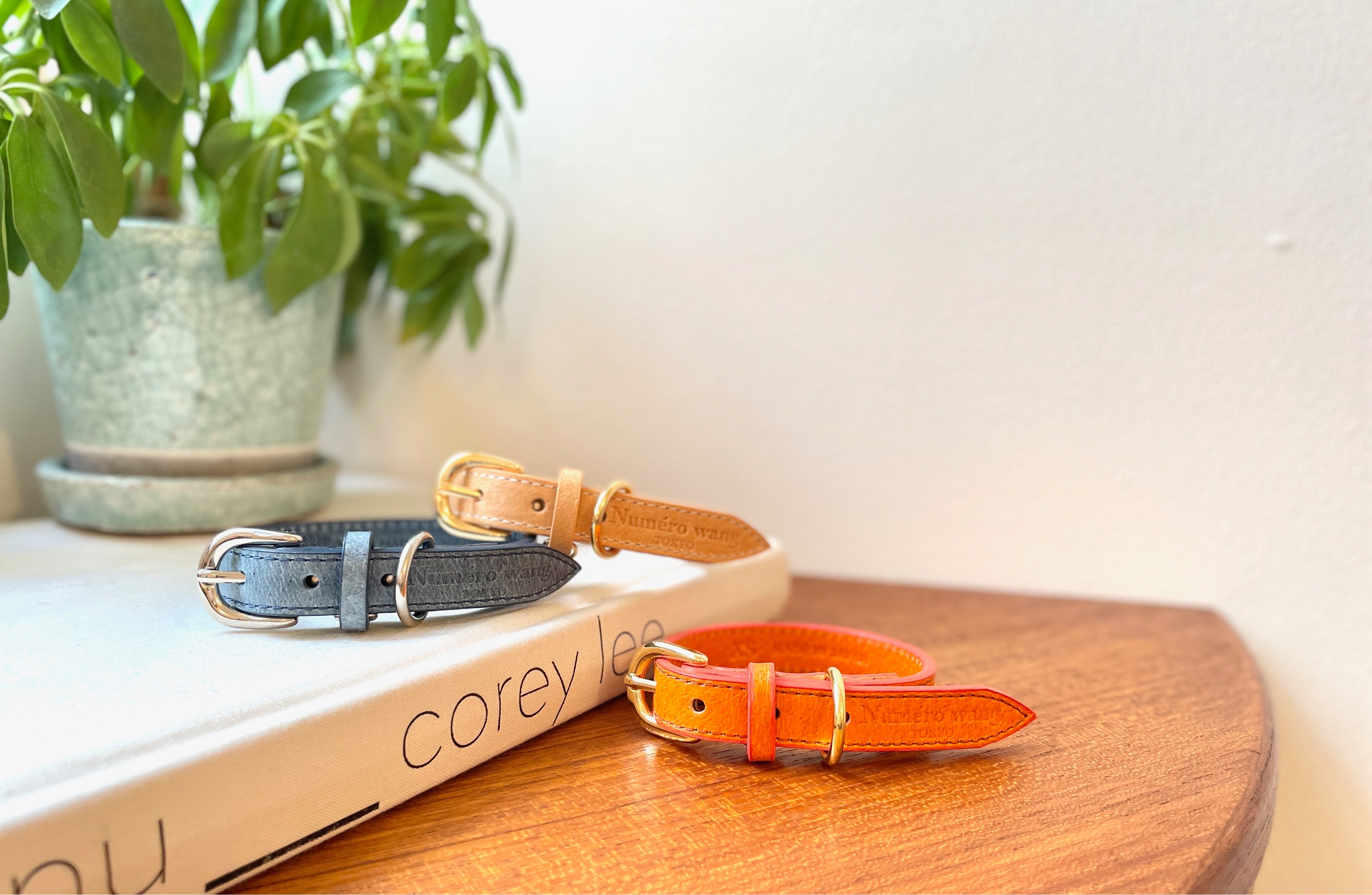 Happy pig leather collar