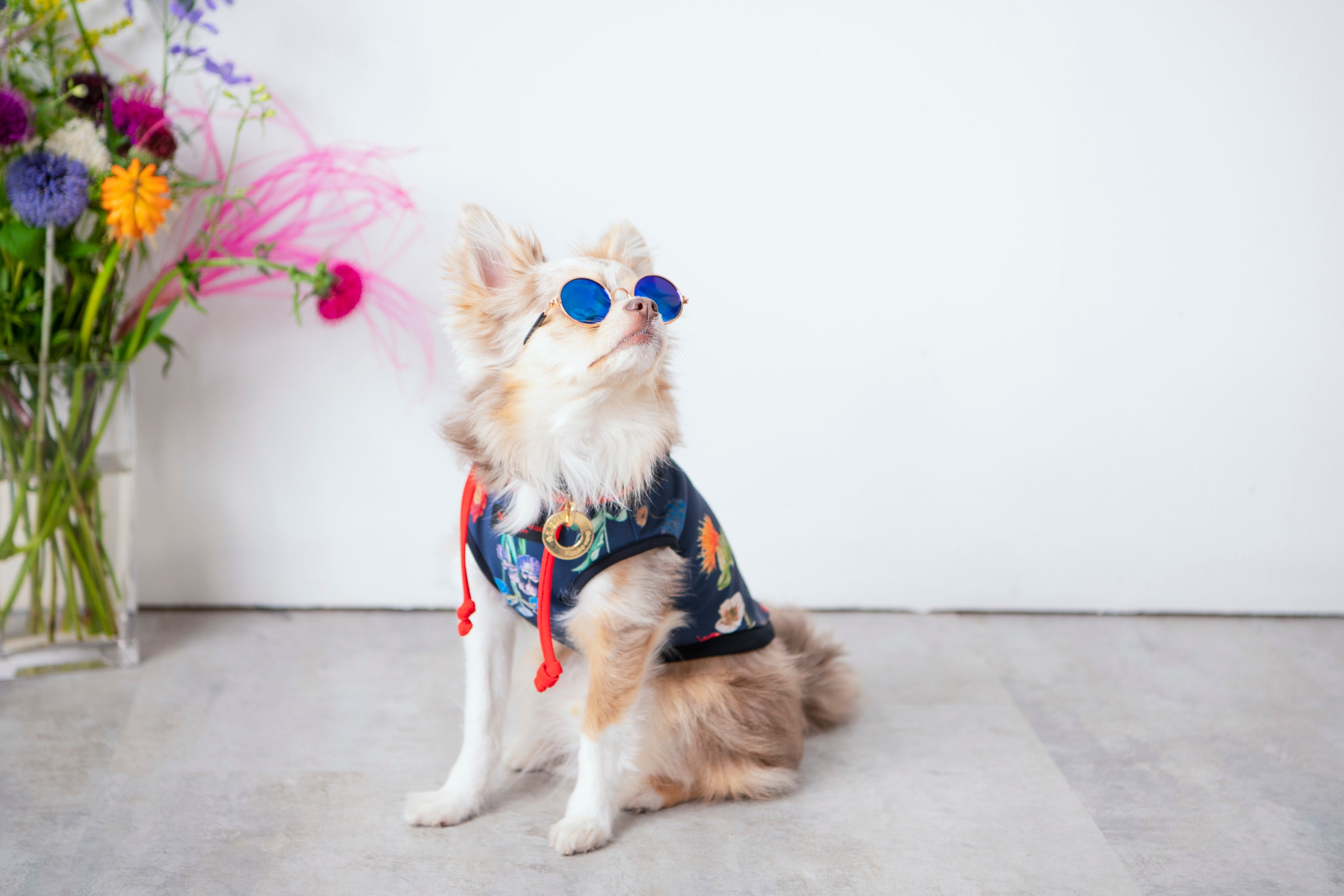 着用サイズ２号