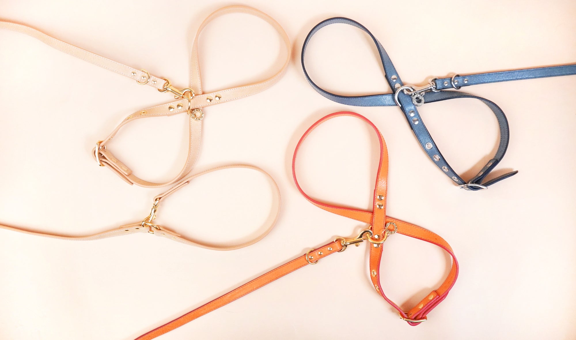 リード3点（赤、青、オレンジ）、TORACリード1点 リード3点（赤、青、オレンジ）、TORACリード1点