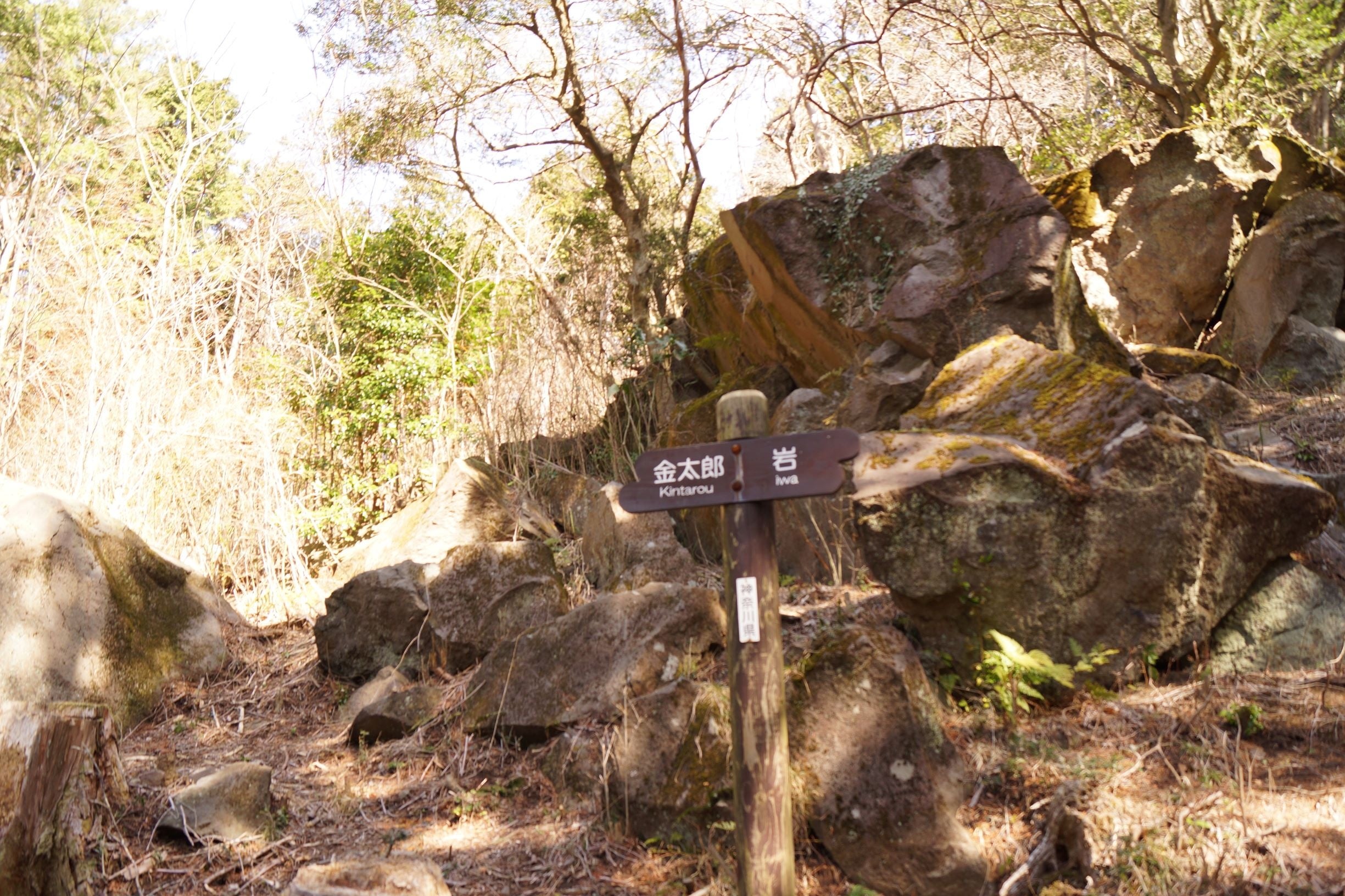 金太郎伝説が残る「金太郎岩」