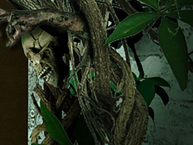 研究室を侵食する不気味な植物。全てを飲み込むタイムリミットが近づいている・・・！