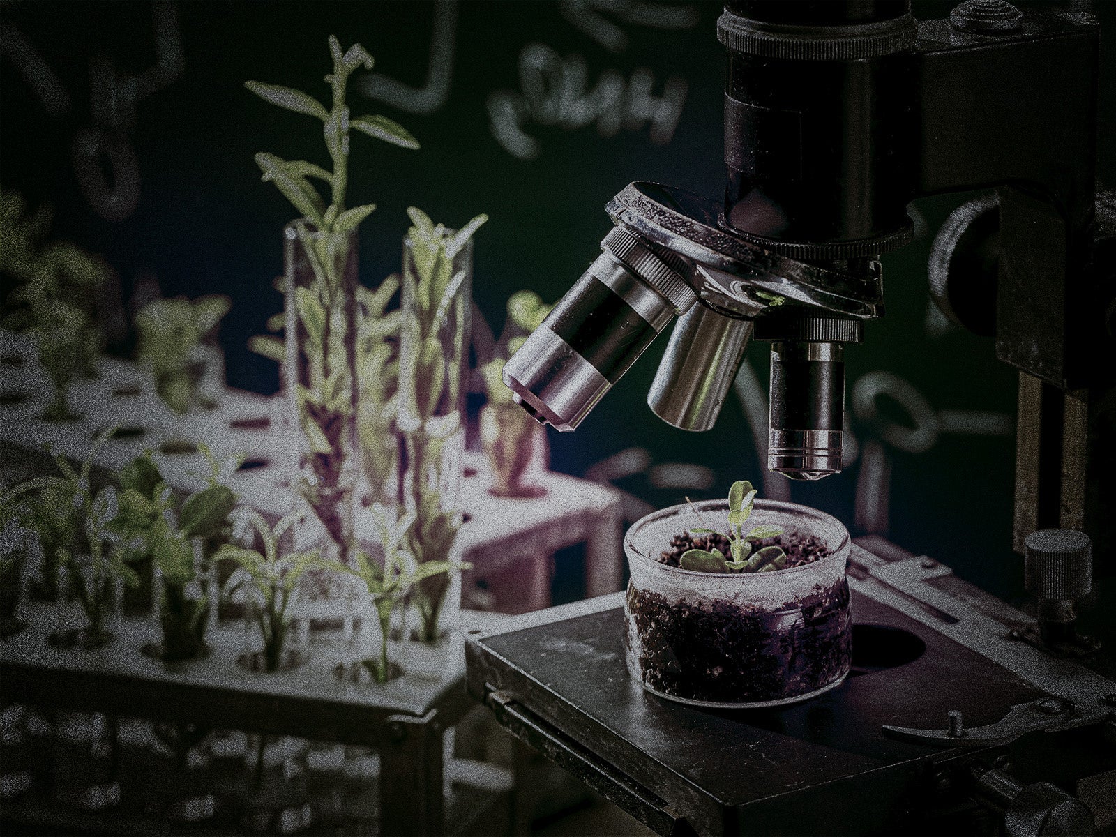 室内に散在する、倫理に反する実験の痕跡。父はここで一体何を研究していたのか。