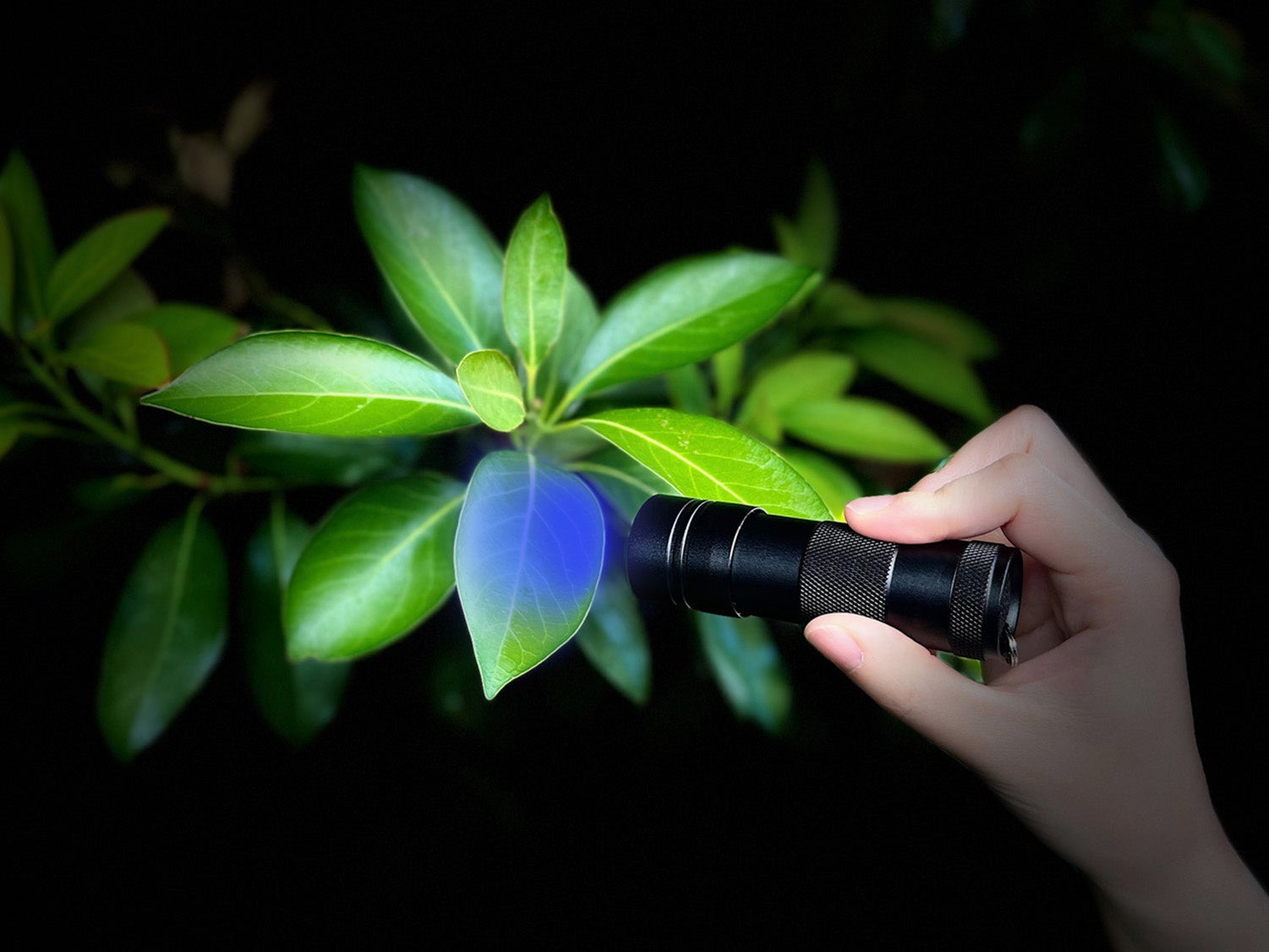 室内にあるアイテムなどを使い、隠された手掛かりを探し出す。（イメージ）