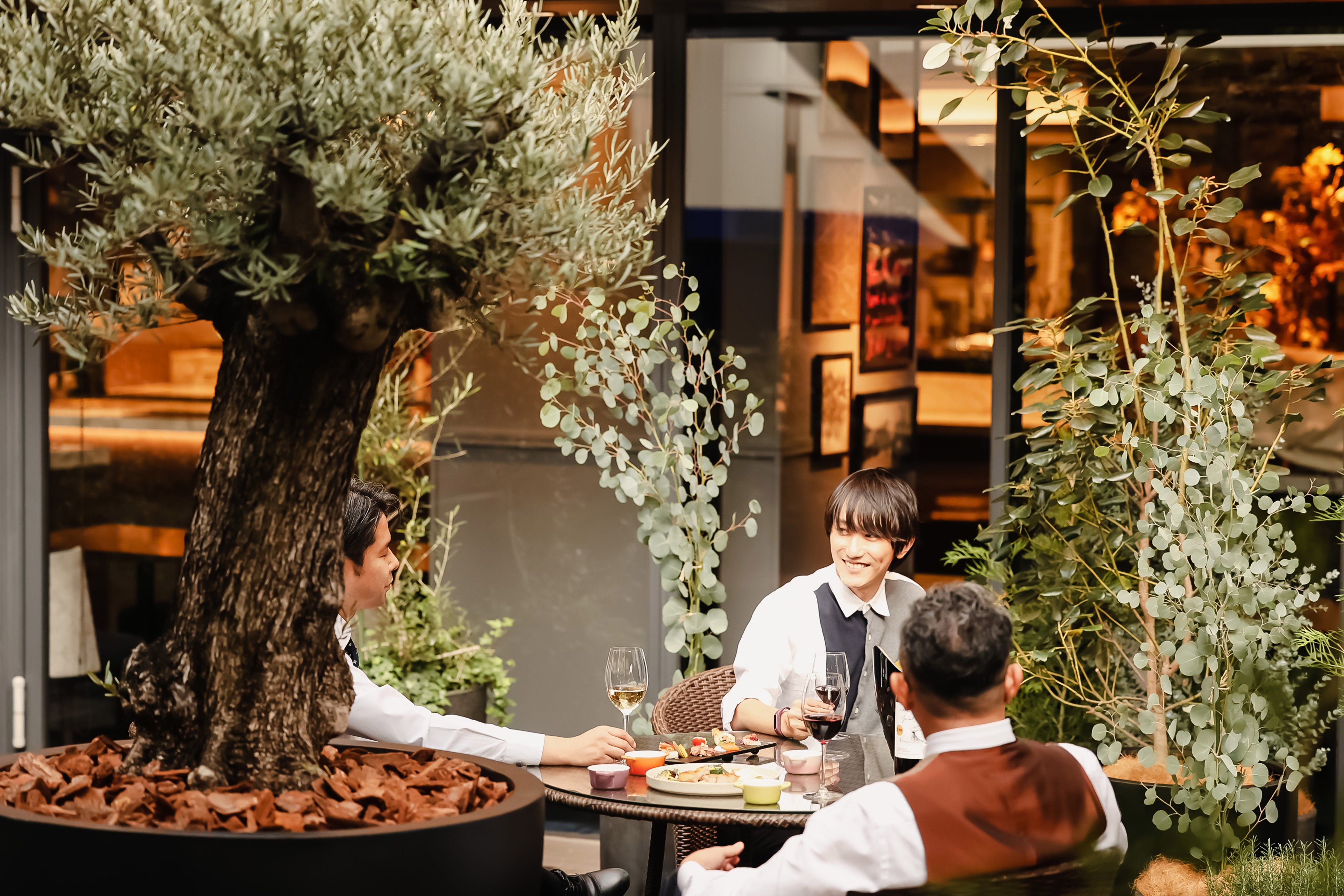 シンボルツリー「オリーブの木」を配したテラスイメージ