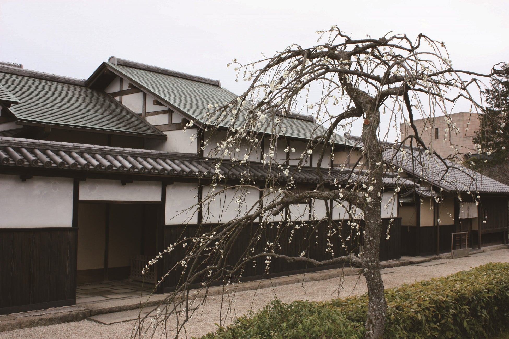 尾形光琳が晩年を過ごした光琳屋敷(復元)
