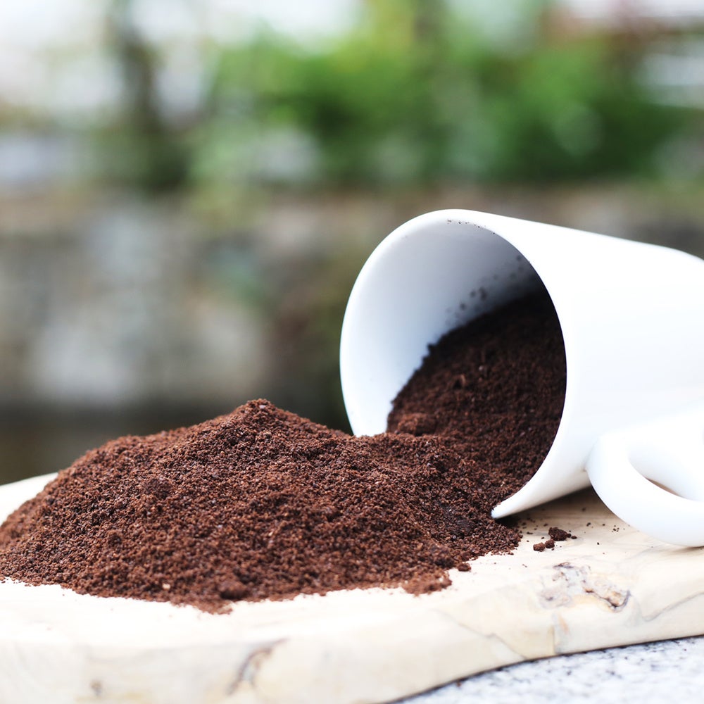 堆肥や害虫防除になる コーヒー豆かす