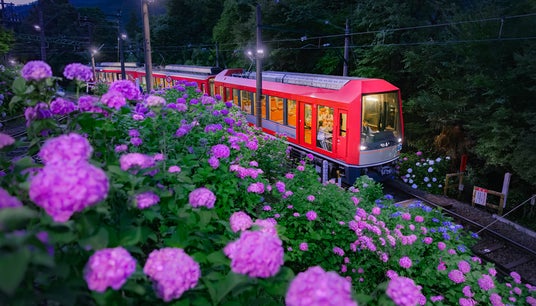 箱根登山電車「夜のあじさい号」6月13日(土)運行開始 強羅駅にて、旅館ならではのおもてなしで来訪者を歓迎 箱根登山電車「夜のあじさい号」6月13日(土)運行開始 強羅駅にて、旅館ならではのおもてなしで来訪者を歓迎