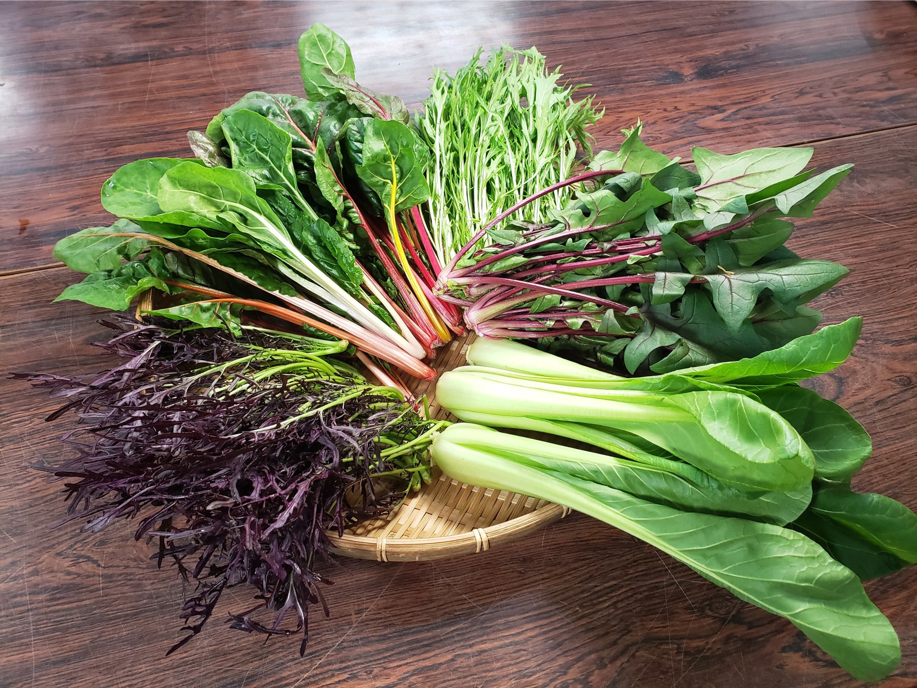 収穫された有機野菜