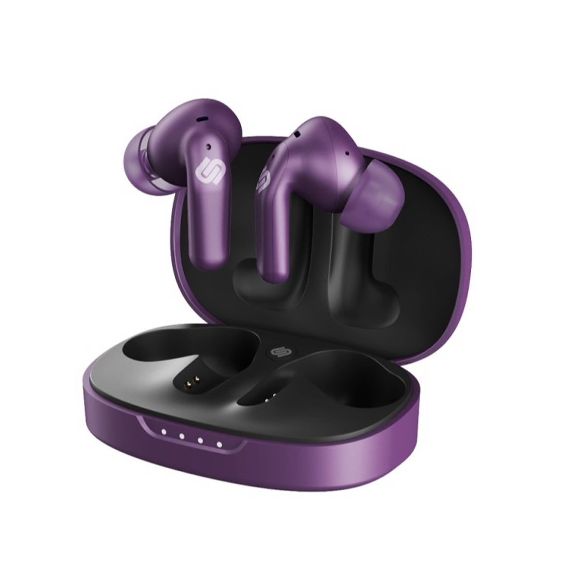 Vivid Purple イメージ1