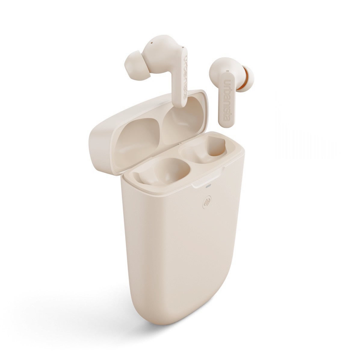 Desert Roseイメージ2