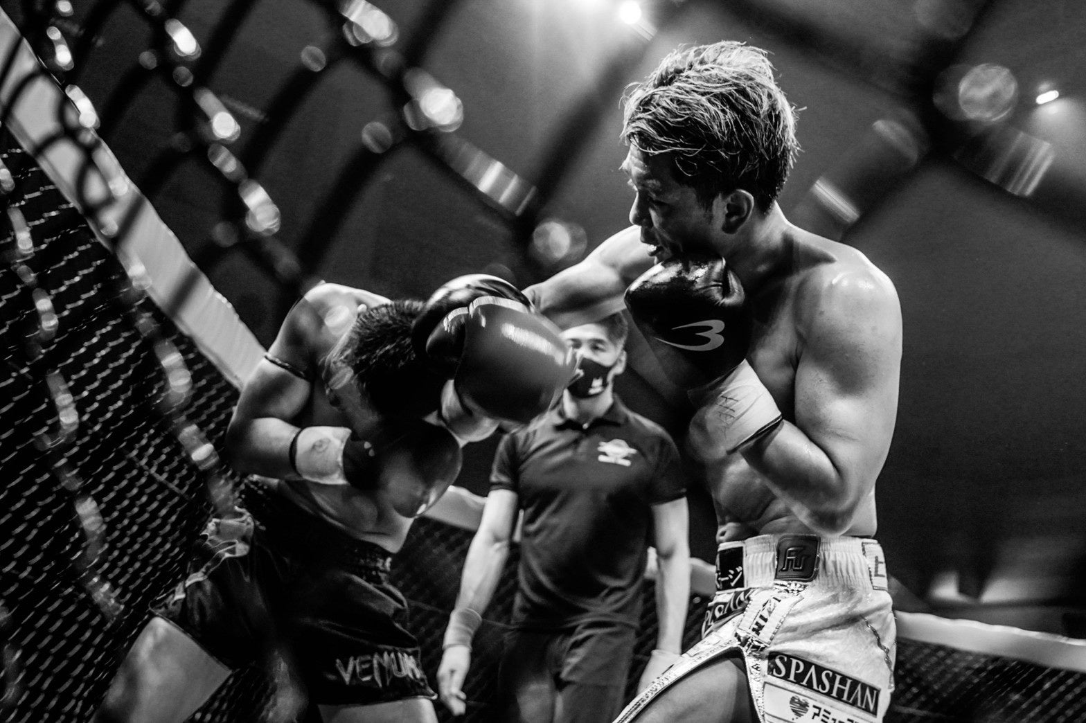 写真提供：NEOMAFIA inc.