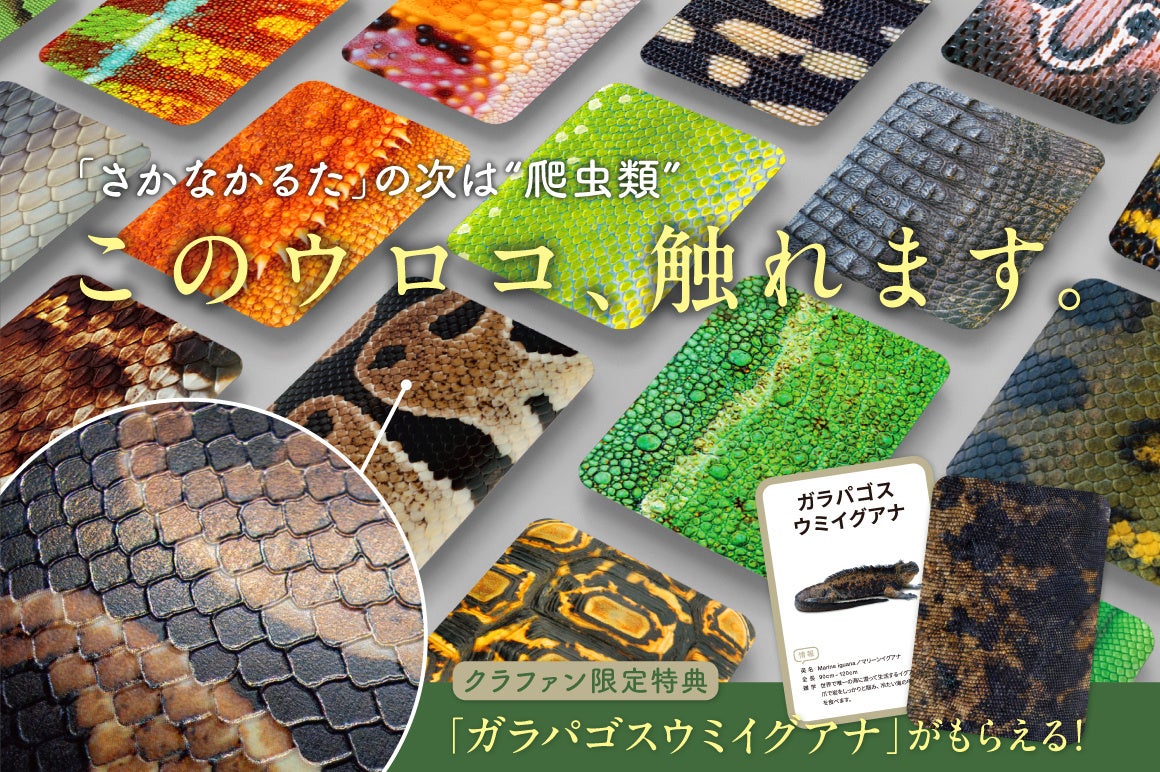 【累計3.5万個ヒット】「爬虫類かるた」新登場!親子で学ぶ新感覚知育玩具 【累計3.5万個ヒット】「爬虫類かるた」新登場!親子で学ぶ新感覚知育玩具