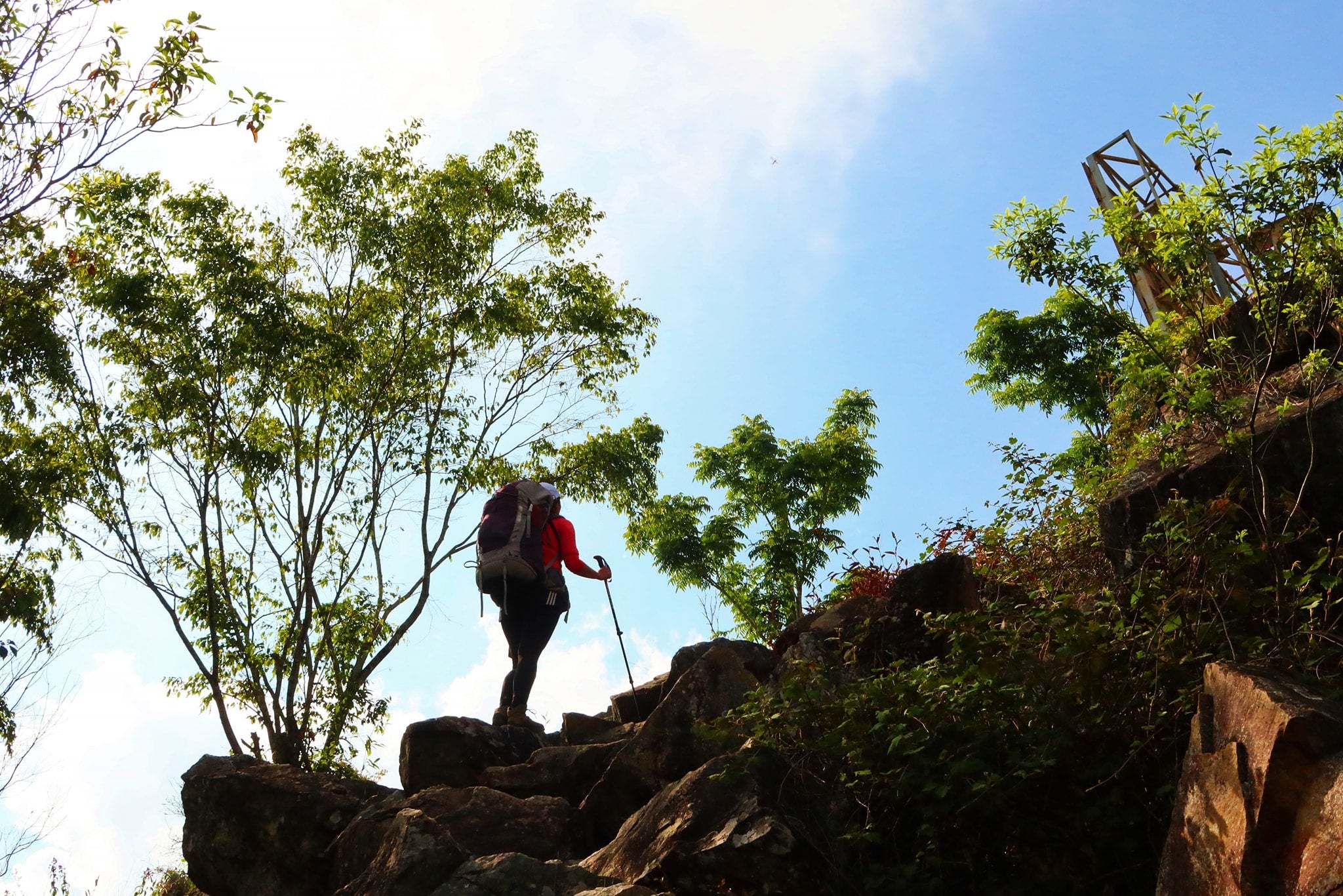 トレッキングしている画像