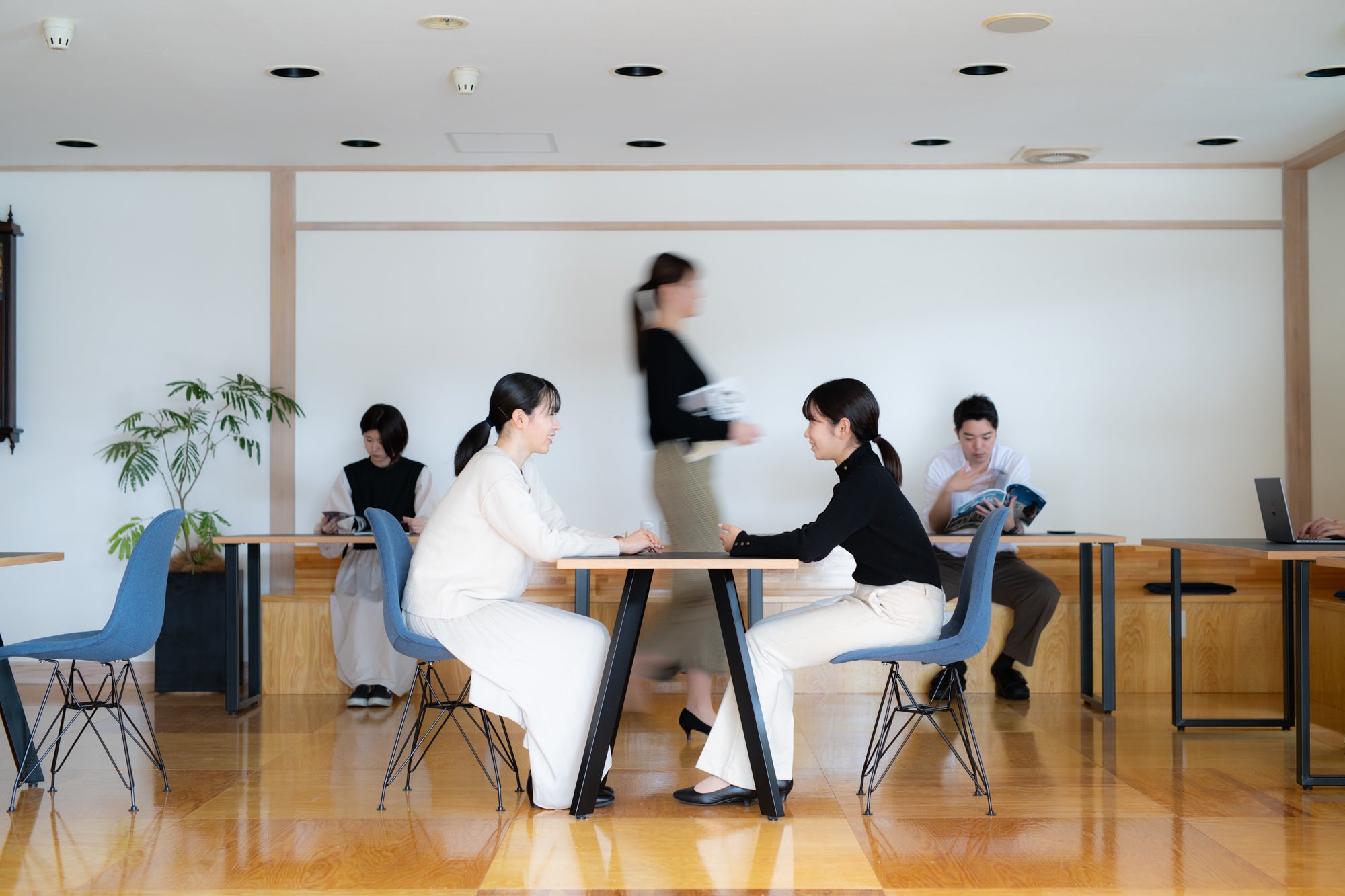 BANI HOUSE（バンイハウス）