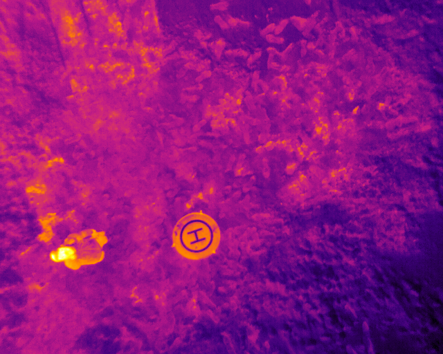 赤外線カメラ「Visor NX」①