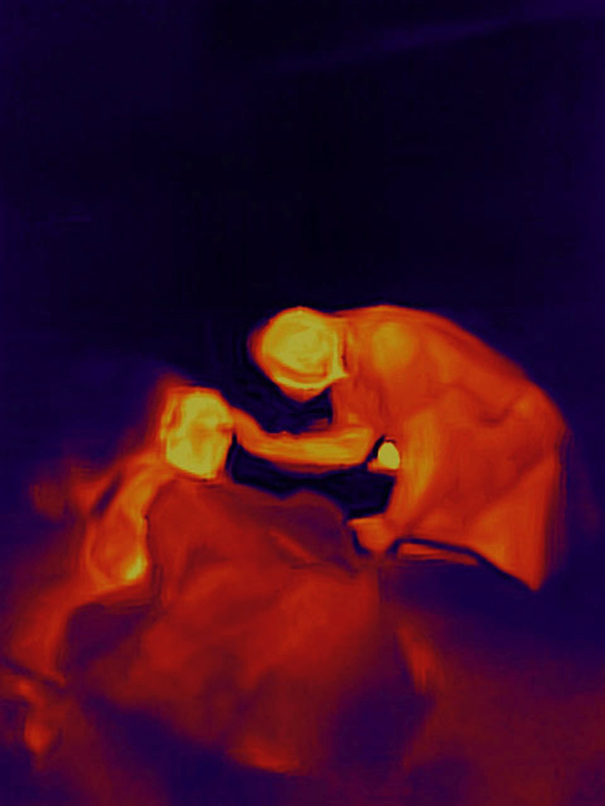   14. アントワン・ダガタ《Virus》　インクジェットプリント 80×60cm ed.5 2020 Courtesy of MEM